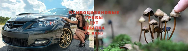 сатива Нягань