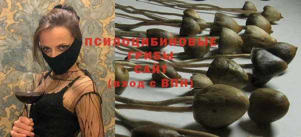 стаф Няндома