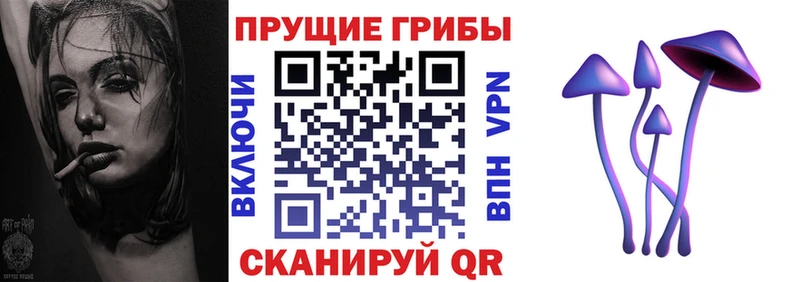 Псилоцибиновые грибы Magic Shrooms  Пионерский 